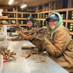 Two smiling people in a workshop hold large, tangled root vegetables over a worktable; shelves of labeled bins behind them.